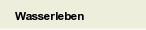 Wasserleben